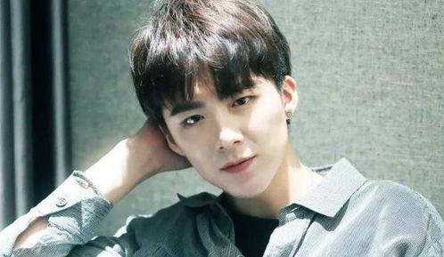 刘宇宁直播爆料最新消息视频,最新消息视频深度解析  第2张