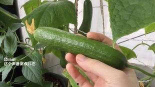 吃瓜集合免费更新,免费更新,带你畅游娱乐圈新鲜事 第3张 吃瓜集合免费更新,免费更新,带你畅游娱乐圈新鲜事 第3张